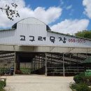 야당목장 이미지