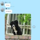 베리커뮤니케이션 이미지