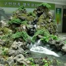 청산조경