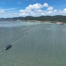 천진 태양광발전소 이미지