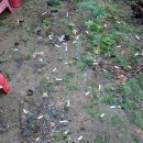 도령여관 이미지