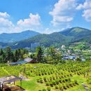 장흥목장 | 의정부수목장, 가까운 일산보다 남양주를 더 선택하는 이유