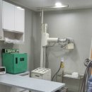 상아동물병원 이미지