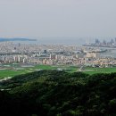 포항종합제철(주) - 11801 | 포항종합제철(주)