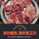 유안탐돈