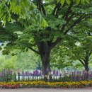 풍경공원 이미지