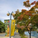 강원도 횡성 웰리힐리파크 리조트 스탠다드룸 1박 조식 솔직후기