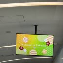 온천중앙공원 화장실 | 크리스마스시즌 후쿠오카 2박 3일 여행