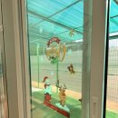 원주테니스장 실내코트 이미지