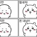 991006 Daum카페