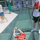 GR(하동군)-[민다리길]-하-1 | 하동 짚라인