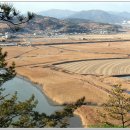 에코피아그린 | [순천/갈대숲/순천만]생태관광체험단 후기-1