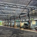 터미널셀프세차장 이미지