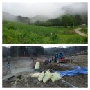 몸사랑농장 이미지