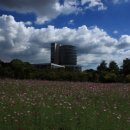 광양커뮤니티센터 이미지