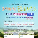 오션비치 이미지