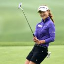 그린카펫 이미지