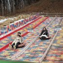 웃음꽃목장 이미지