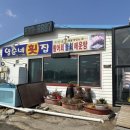영순네회집 | 강원도 고성군 회, 물회 맛집 — <영순네횟집> 내돈내산 후기