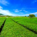 도두항유람선 이미지