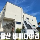 비비다아리 이미지