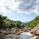 하나로리포스 이미지