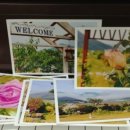 예사랑피아노학원 이미지