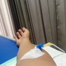 발리펫 | 발리에서 발리밸리 걸리고 사누르병원(사누르메디컬클리닉)에서 수액맞은 후기, 보험금청구까지