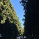 아일안 | 나만 알고 싶은 제주 조천읍 감성 숙소🕊️ 아일안 B동 후기