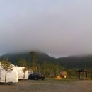 자연을 노래하다 이미지