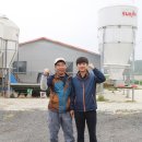 경지양돈 이미지