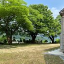 유명림행정사사무소 이미지