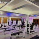 머슬팩토리 easy 이미지