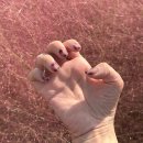 마산합포구 ⓐ-16 | [창원 네일샵 추천] 마산 댓거리 아루이네일스튜디오 후기 ┃ 자석네일 유지력 대만족 내돈내산