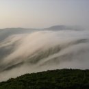 삼양농장 이미지