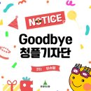 투데이기획 | [투데이신문 기자단] 청플기자단 3기 활동종료 🥺ㅣ 기획 기사 후기 📚 ㅣ 이제 수료식만 남았습니다 📌