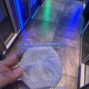 고래고래노래연습장 이미지