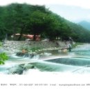 명당옥수 이미지