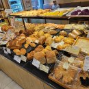 수원-0445 이미지