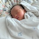 반찬조리전문가 | 산후조리원 안가고 집에서 산후조리 후기 (본가 O, 산후도우미 X)