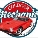 골드카 메케닉 이미지
