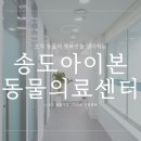 아이본치과 네이버블로그