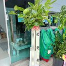 탁주유소 이미지