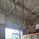 카페미루 이미지