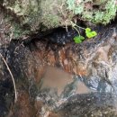 용수농장 이미지