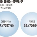 지난해 11월까지...전업카드사 7곳의 현금서비스 이용금액은 이미지