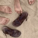 추암팬션 이미지