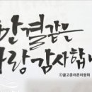 캘리그라피 Daum카페