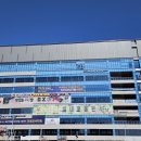 테니스레디