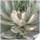 상연농장 이미지